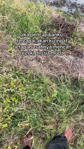 #fyp #anakpetani🌾 #petanimuda #paggalungmakesi