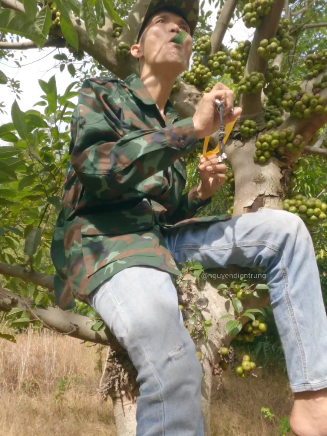 I take shelter in a fruit tree #entertainment #birdsounds #shorts #Survival #Challenge #camping