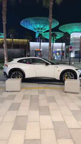 Puro Saddle run #fyp #dubai 