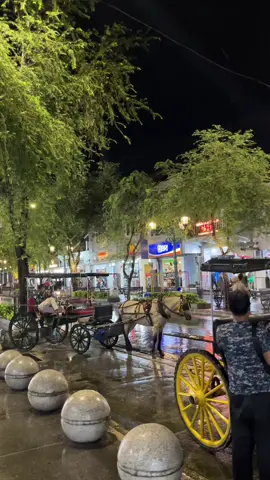 “Jogja tunggu aku kembali dengan orang yang tidak kalah istimewa denganmu”