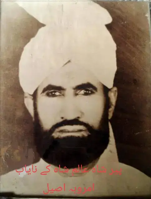 Peer Shah Alam Shah👑♥️ #shoq #froryoupage #foryou #videoviral #1M 