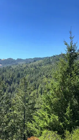 nowhere.                                                     #fyp #viral #fypシ゚viral 