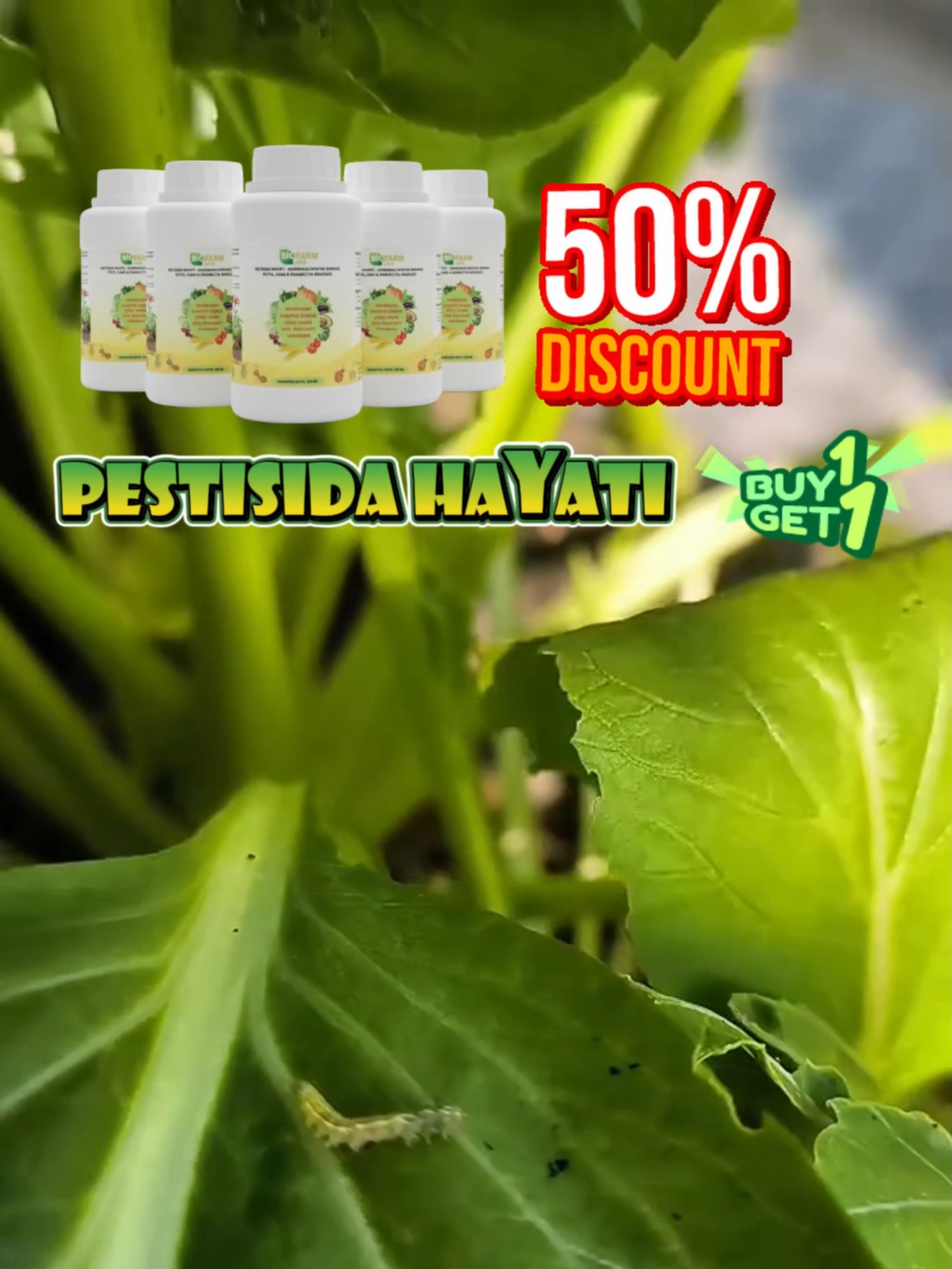 Pestisida Hayati DISKON 50% ONLY TODAY #VMQshop #VMQbio