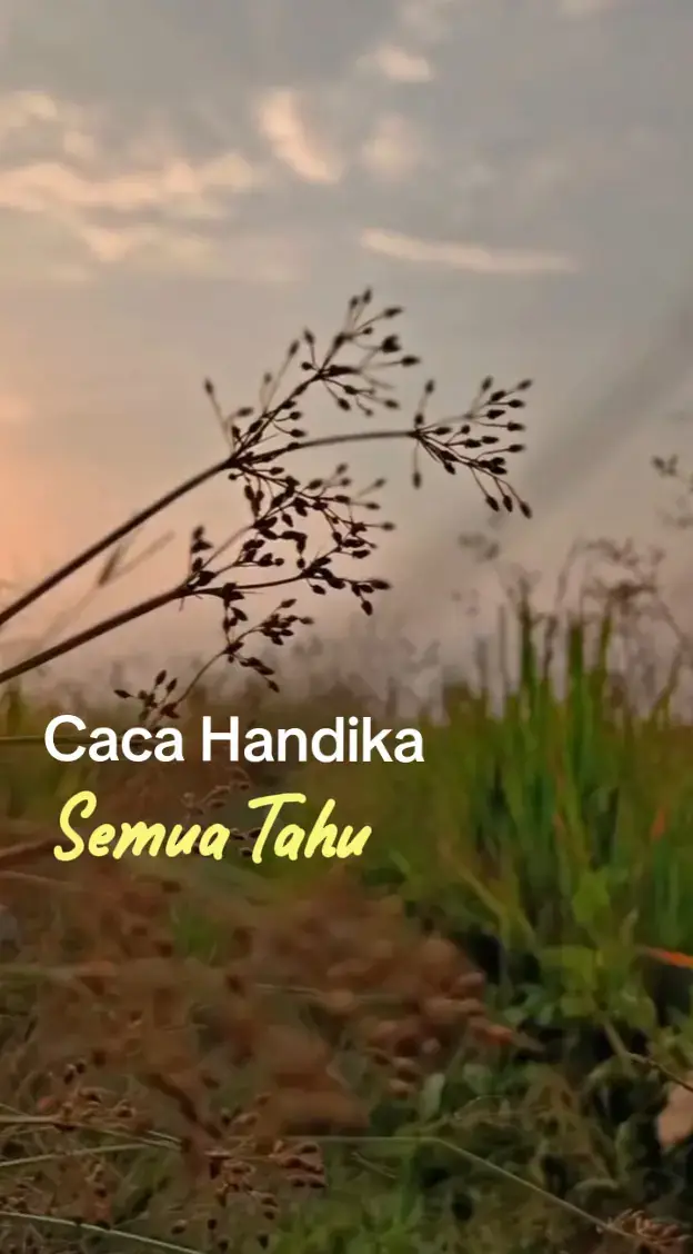 #cacahandika #semuatahu 