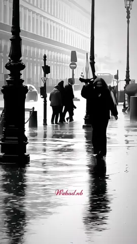 البعض يرحل بدون عوده والبعض يعود بدون لقاء  فيروز