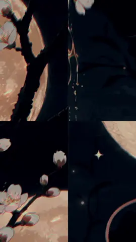 #giapty #tuoity #tuoity2026 #xuhuong #phongthuy 