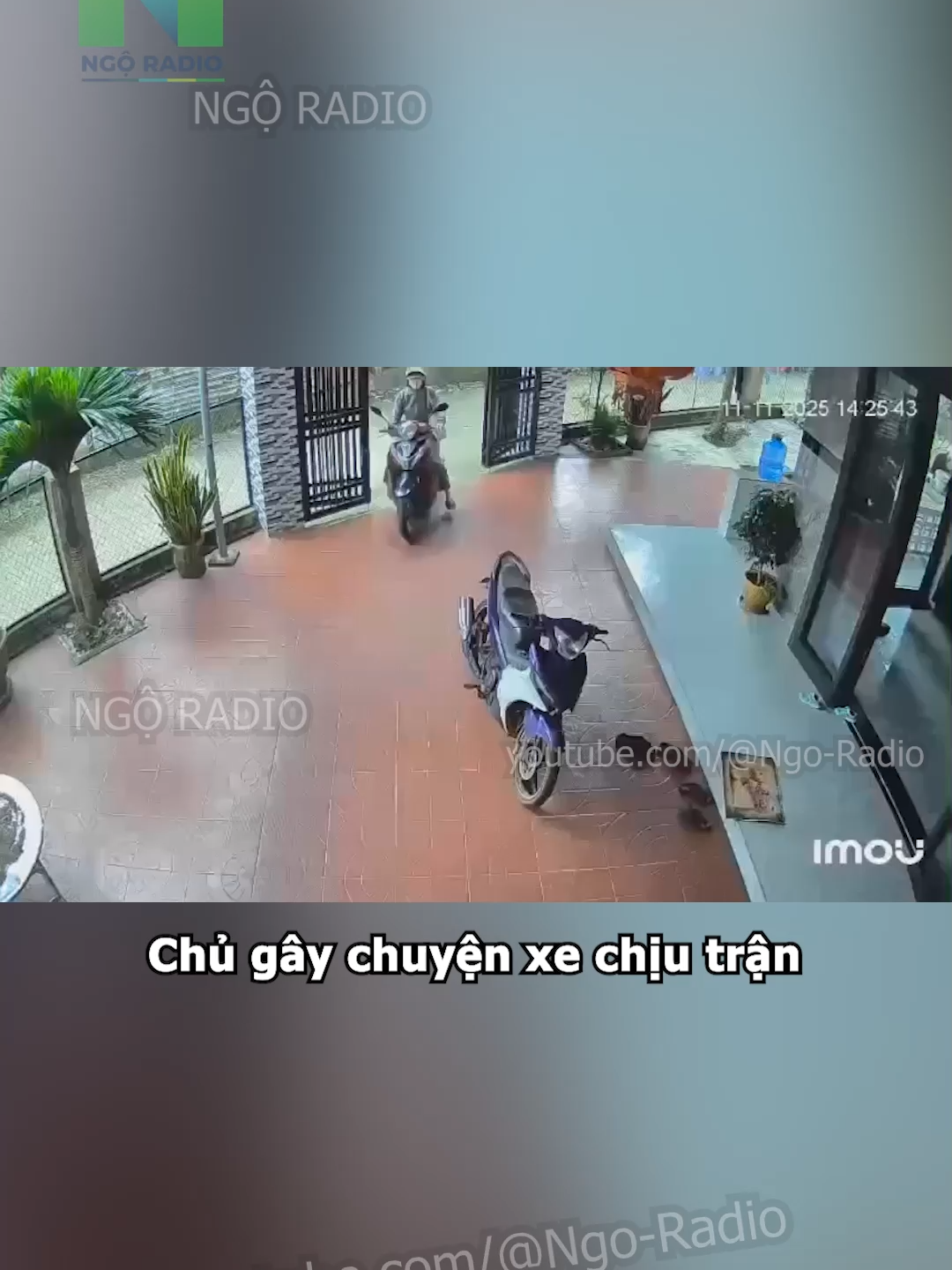Chủ gây chuyện xe chịu trận#cuocsong #ngoradio #phapluat #viraltiktok #tintuc #giaothong #haihuoc