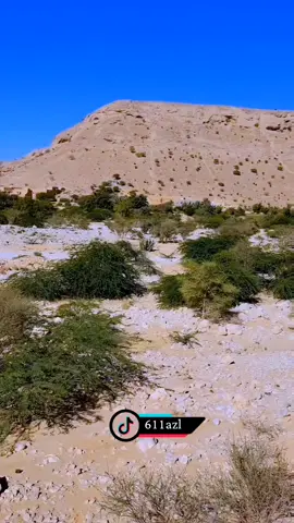 #الابل_عطايا_الله  #ماشاءالله_تبارك_الله_اذكروا_الله  #الديره  #شبل_العوابثه  #مجرد_ذووقツ🖤🎼 