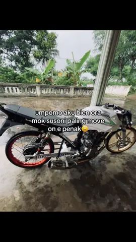 #arsantareborn_ #tigerarsanta 