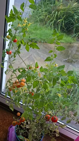 #masha allha#💖💖💖💖 