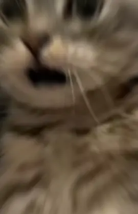 #foryoupage #veiwsproblem #flypシ #flyppppppppppppppppppppppppppppppp 