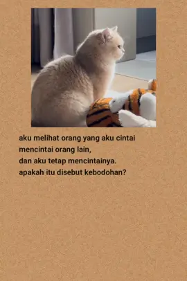 #katakatasedih #katakatabijak #fyp #viral #laguindia 