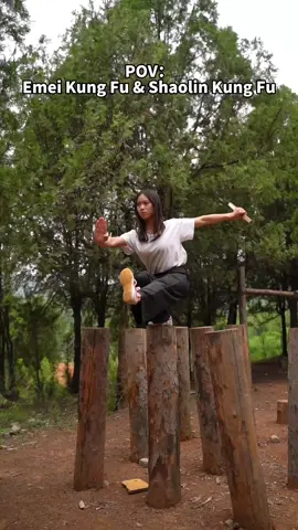Emei Kung Fu&Shaolin Kung Fu!#kungfu #shaolin #martialarts #lingyun 