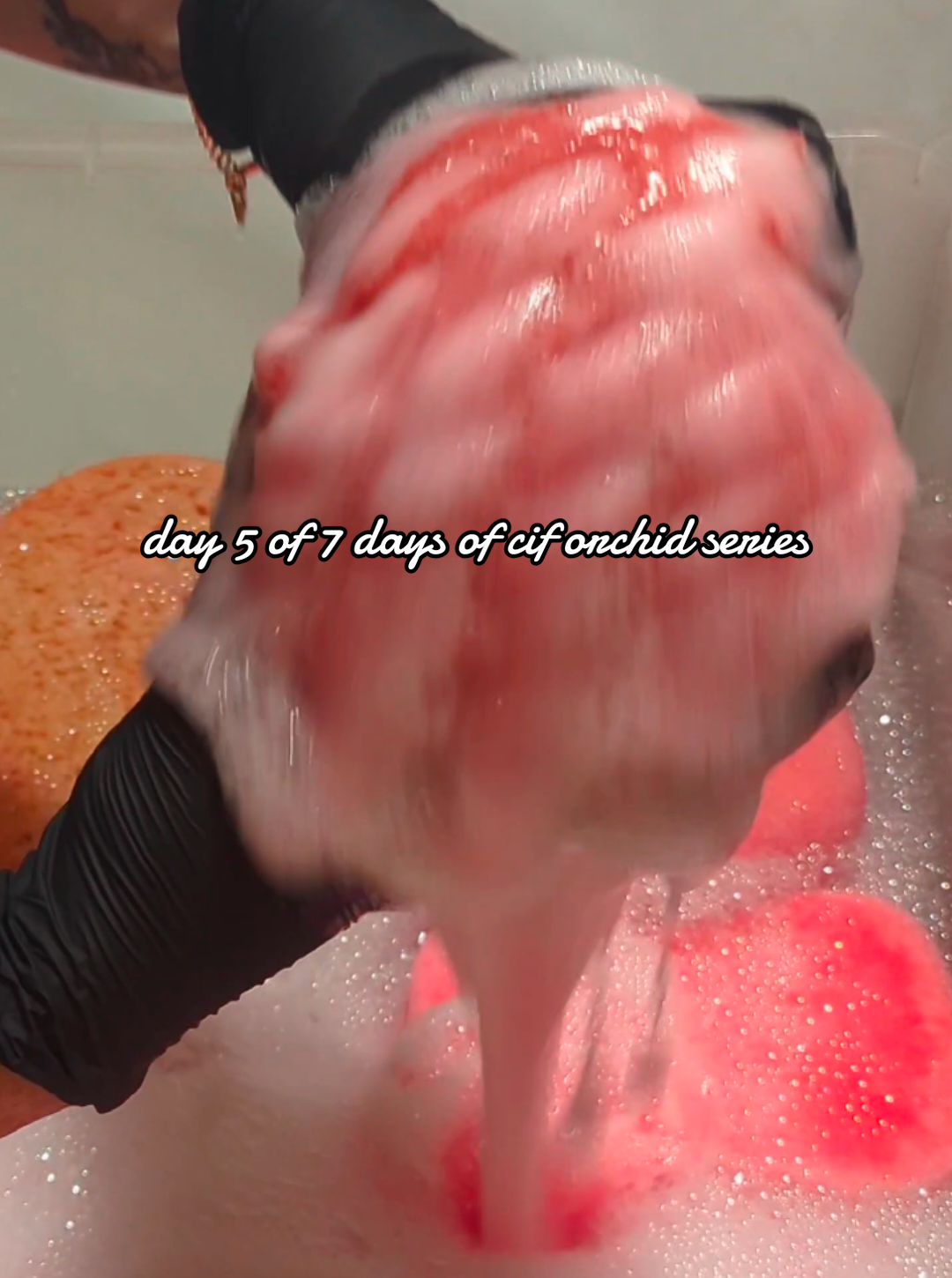 day five of 7 days of cif orchid series 💞💗  #fyp #asmrsounds #spongesqueezingasmr #CleanTok #spongeasmr 