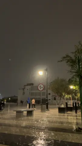 #fyp #4u #المدينه_المنوره #pppppppppppppppp 