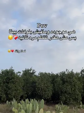 #العباره_الاجمل_تستحق_التثبيت📌 #اخر_عباره_نسختها🥺💔🥀 #فولو_اكسبلور_تفاعل_لايك🥺🖤 #مالي_خلق_احط_هاشتاقات🧢 #متنساش_الفولو_والايك🥺🤍 