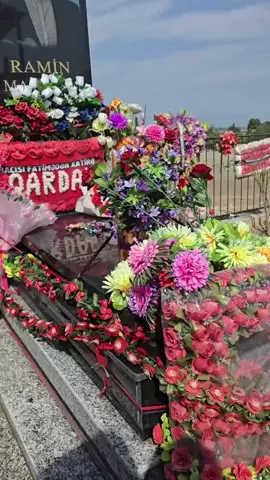 məkanin cənnət olsun Gözəl qardaş 🙏@Raminin Əziz Xatirəsinə❤️‍🩹✈️ 