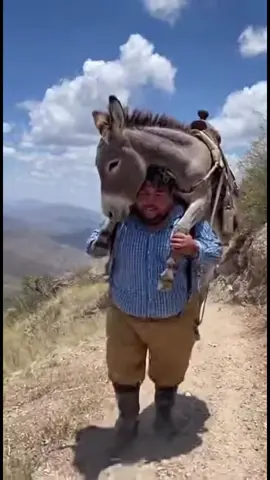 ayudando al compadre 🤷🏻‍♂️ #sora2 #sora #ia #Viral #humor 