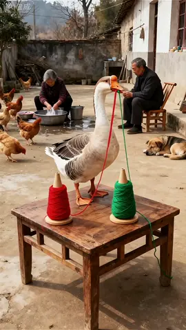 #ai #fyp #vrialvideo 