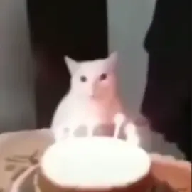 عارف انه كرنج بس بنزله #mewo #birthday #happybirthday #fyppppppppppppppppppppppp #meme 