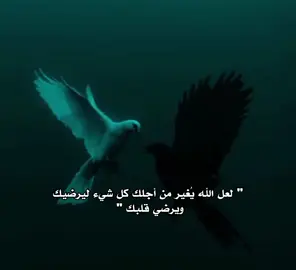 #اكسبلور #تيك_توك 