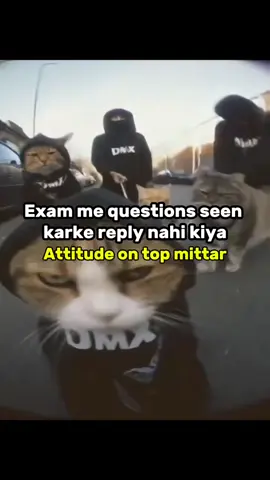 Attitude On Top 😎🌚 #foryou #fyp #viral #trending #goviral 