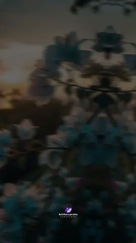 pusu majjal pusu majjal  #fyp #fypシ゚ #creatorsearchinsights #lyricsvideo #tamiltiktok 