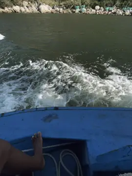 社会很简单。有钱就有名气，没钱就算喊也没人听！ Xã hội này đơn giản lắm. Cứ có tiền là có tiếng, không tiền có gào thét cũng chẳng ai nghe!