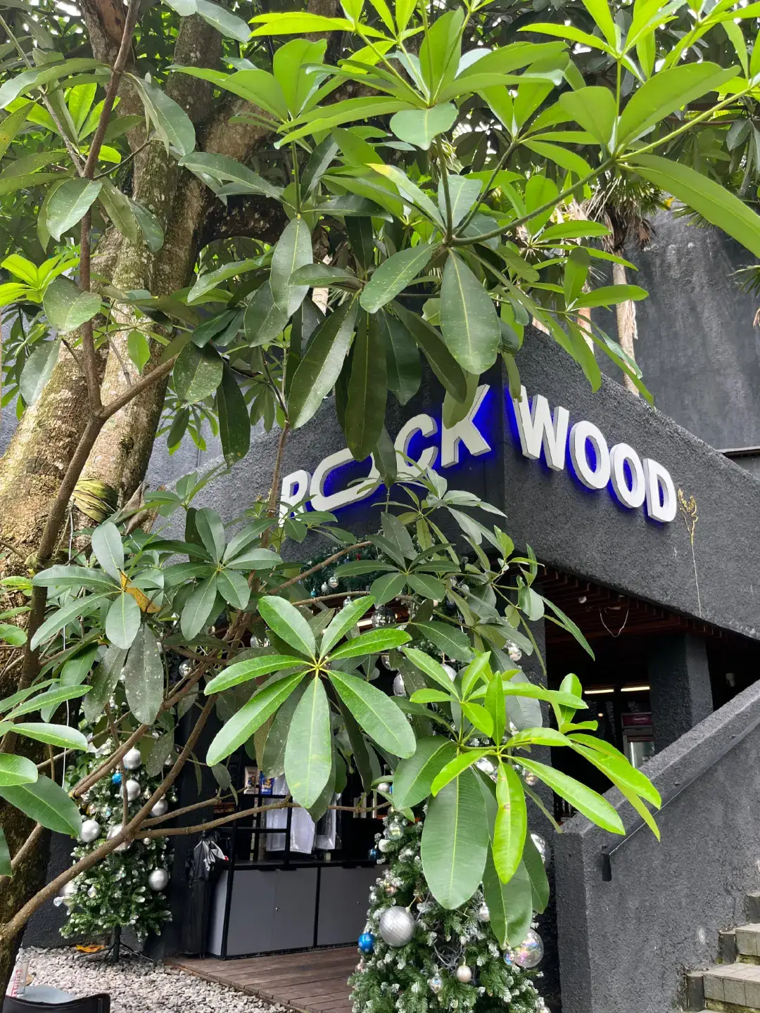 #NovoDoveCabelos #fyppppppppppppppppppppppp #wonosobo #banjarnegara #masukberanda @at.rockwood 