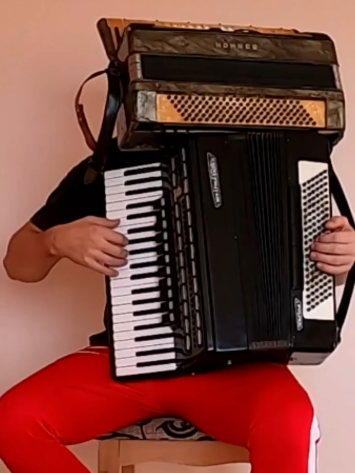 #virtuoso #artistsoftiktok #акордеон #music #akordeon #akordeonist