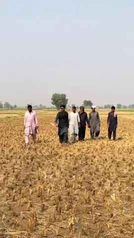 #❤️☝🏻#foryoupage #fyp #viralvideo #capcut @ذریت عمران شاہ قریشی @⚜️میاں محمد مہدی⚜️ @صاحبزادہ حسان قاسم 🔱 @علی شازل قریشی 👑💫 