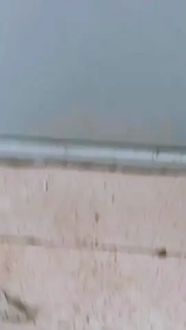 #funnyprank #funnyvideo #funny #foryou #fyp 