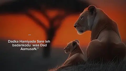 Love saar ❤️  #foryou #foryoupage #fyyyyyyy 