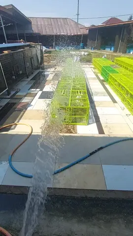 trimakasih sukabumi saya pamit.pindah ke z.wolf✋️ #ZWOlf #SOROTAN #fypシ゚viral🖤tiktok #video 