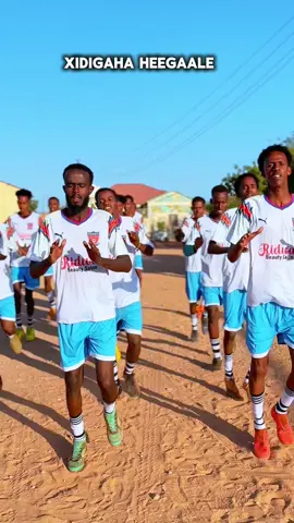 Xidigaha heegaale###buhodlesomalia🇸🇴 #ibrahim jabaan#lascanood🐎❤️💉 
