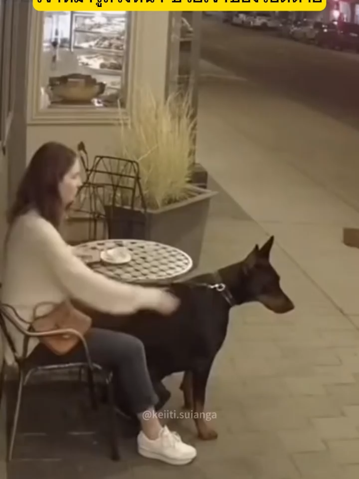 น้องรู้ก่อนทุกคน 😳🐾 เชื่อแล้วว่าหมาเป็นเพื่อนแท้จริง ๆ #น้องหมาแสนรู้ #หมาช่วยชีวิต #ฮีโร่สี่ขา #คลิปไวรัล #ไวรัลมาแรง #TikTokThailand #น่ารักไม่ไหว #พลังบวก #คลิปอบอุ่น #สัตว์เลี้ยงน่ารัก #หมาฉลาด #คลิปซึ้งใจ #funnyvideo #คลิปน่าทึ่ง #คลิปฮาๆ #สัตว์เลี้ยงของฉัน #ไวรัลซึ้งๆ #ความรักของหมา #ForYou #คลิปดีต่อใจ