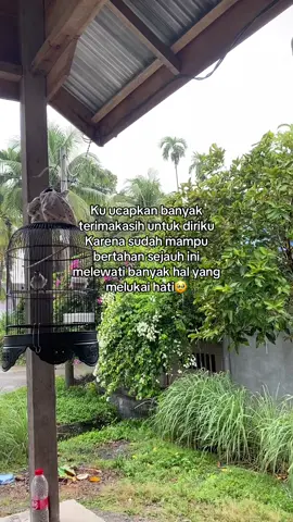 Self reward itu penting💞#masukberanda #quotes #fyppppppppppppppppppppppp 