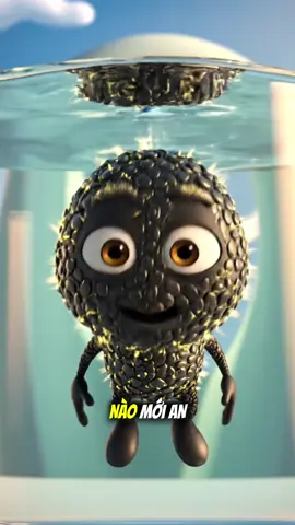 Hạt Chia tốt thật nhưng bạn đã biết cách ngâm để giữ trọn vẹn chất dinh dưỡng của Hạt Chia chưa??? #hatchia #suckhoe #hatchiaden #LearnOnTikTok #kienthuc 