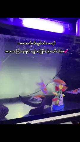 @Htet Yadanar Kyaw #fppppppppppppppppppp #fyp #foryoupage #myanmartiktok🇲🇲🇲🇲 #fppppppppppppppppppp 