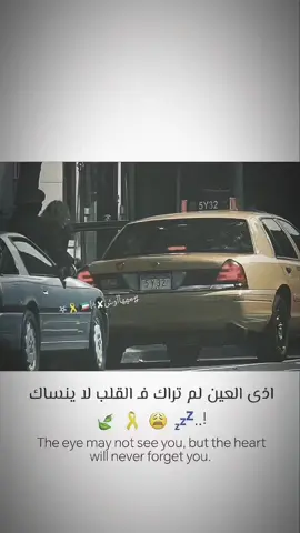 كم مره حاب بحياتك؟ 📍#تصميم_فيديوهات🎶🎤🎬 #لايكات #غزل_وحش_الإكسبلور #حب_بلا_حدود #تصميمي🎬 