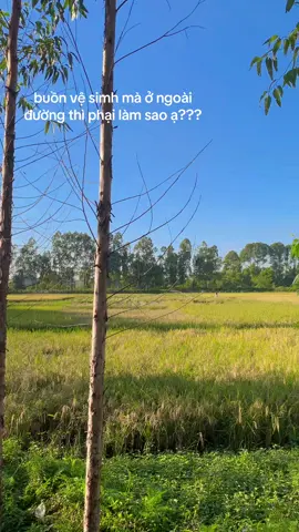 khách em ra tưới lúa ạaa😂😂##cfemangdi☕️☕️☕️ #cafemangdiahihi #takeaway #cafenga4tuthan #xhhhhhhhhhhhhhhhhhhhhhhh 