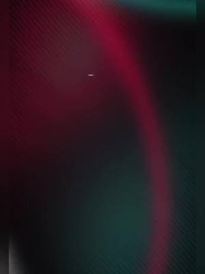 Anúnciate en TikTok