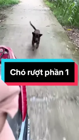 Trả lời @lili🥀  một thời để nhớ 😆😆 #nhabedo 