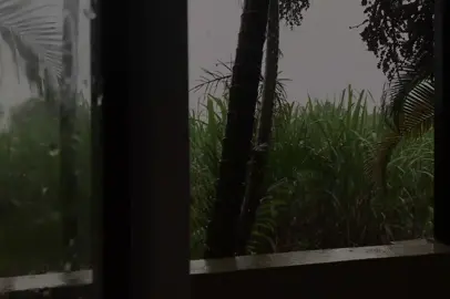 سورة الزمر  #سعود_الشريم #الحرم_المكي #رمضان #قران_كريم 