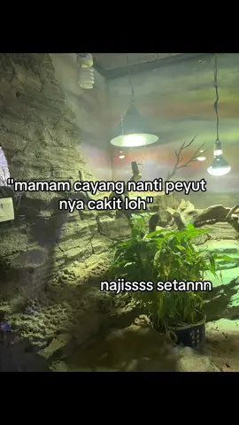 Ih geli anjy #alay #anjay #fypp #fyplagidong 