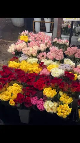 Flowers 💐✨ #reels #fyp #sunset 