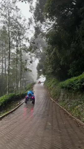 الدباب تحت المطر 🥹🤍🤍🤍 #indonesia #اندونيسيا #بونشاك #فعاليات_السفر #fyppppppppppppppppppppppp 