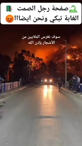 #رجل_الصمت 🇩🇿 #خضراء_بإذن_الله  الجزائر الخضراء  إغرس شجرة  صديق الشجرة  #الغابة_تبكي_ونحن_ايضااا  #اليد_في_اليد_خضراء_بإذن_الله  #لا_نعرف_الإستسلام_كلنا_شعب_واحد🇩🇿   @أبرز المعجبين 🫡🇩🇿