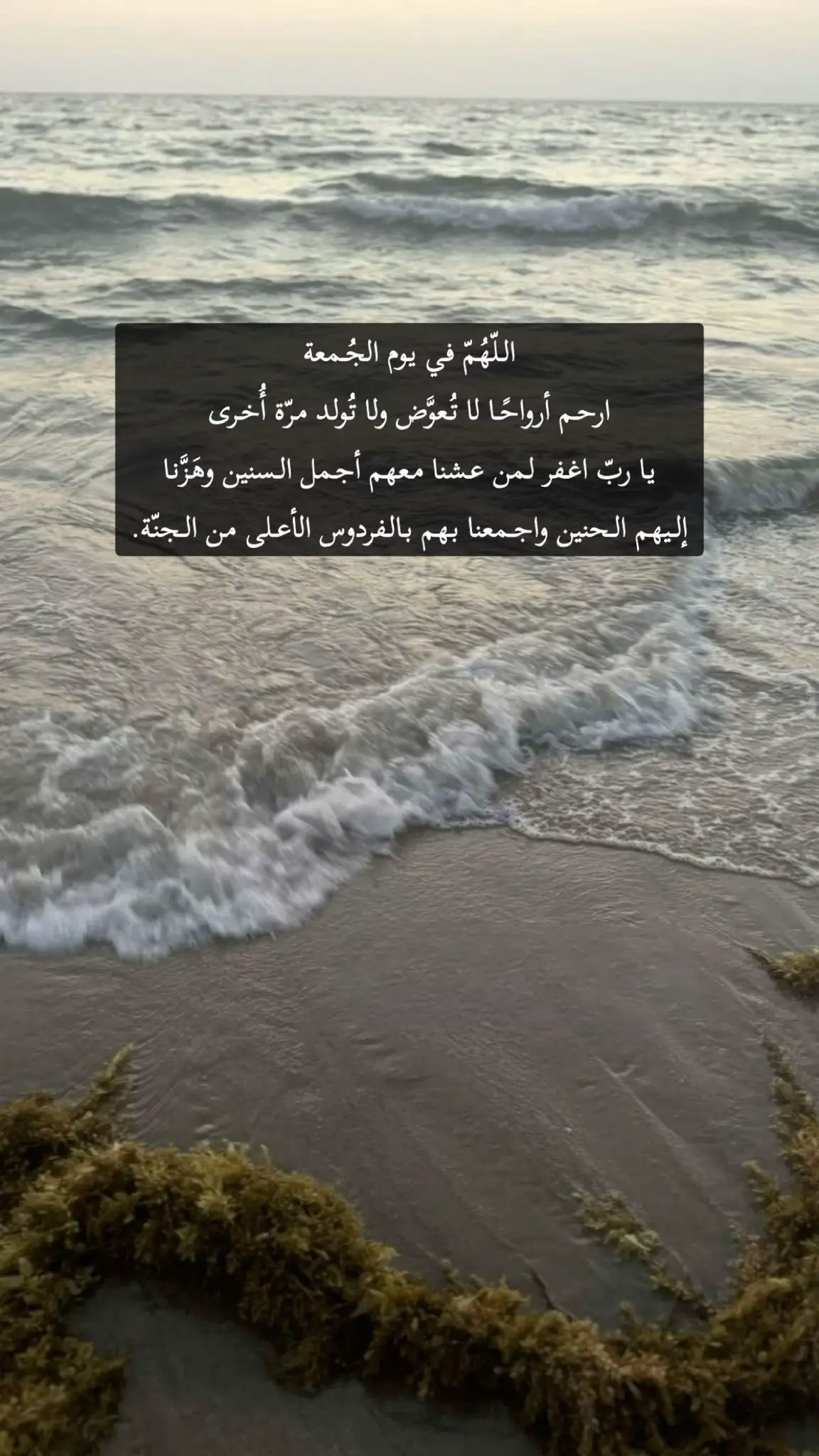 #اللهم_ارحم_ابي_واخي_واسكنهم_فسيح_جناتك 