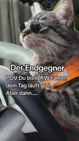 Endgegner 🤣 #typisch #lkwfahrer #scania #v8 